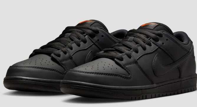 Nike SB Dunk Low Pro